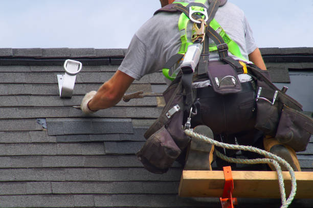 Best Local Roofing Companies  in North Alamo, TX