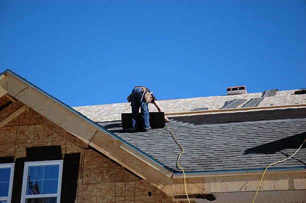 Best Storm Damage Roof Repair  in North Alamo, TX