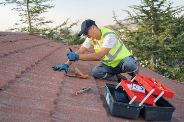 Best Gutter Installation and Roofing  in North Alamo, TX