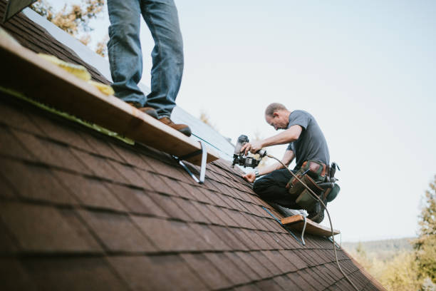 Quick and Trustworthy Emergency Roof Repair Services in North Alamo, TX