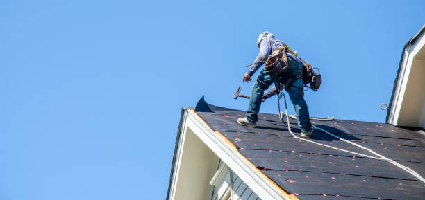 Best Local Roofing Companies  in North Alamo, TX
